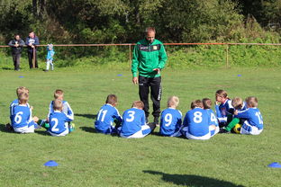 九游网页版入口-意甲攻守大比拼：速度与战术的融合！，意甲战术强在哪里