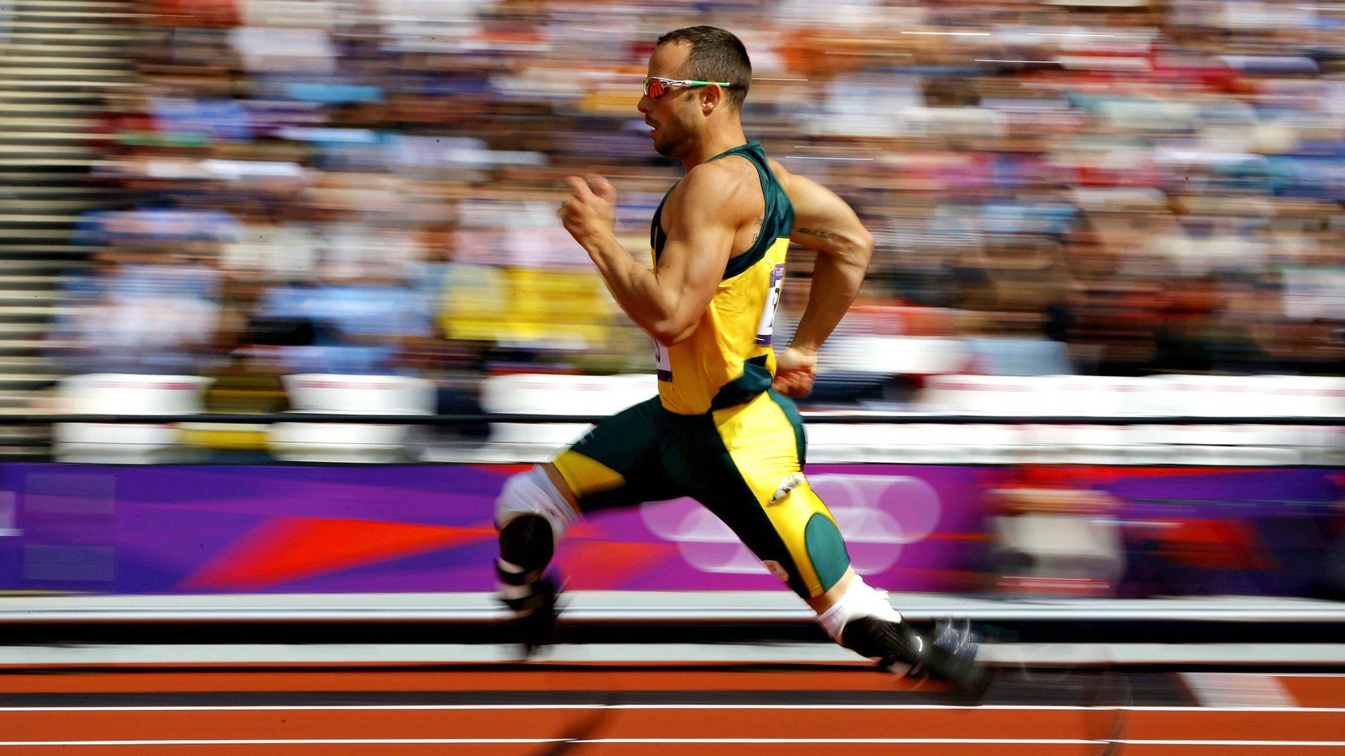 体育焦点报道权威分析上线,体肓新闻网